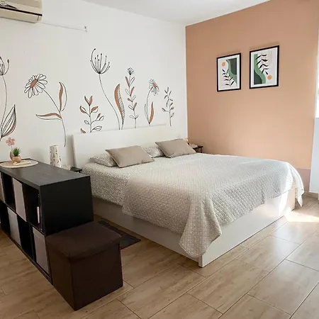 Studio Izola
